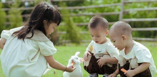 Králičí guláš s bramborami