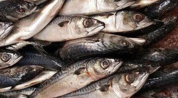 Rybí filé s bramborem a bylinkami