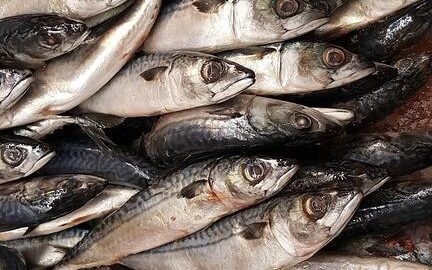 Rybí filé s bramborem a bylinkami