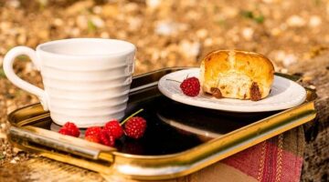 Mazanec se sušeným ovocem