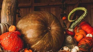 Zapečená dýně se šťovíkem