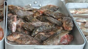 Bouillabaisse s půvabným křupavým chlebem