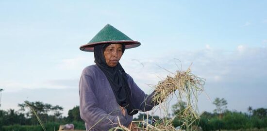 Indonéský batátový salát Gado Gado