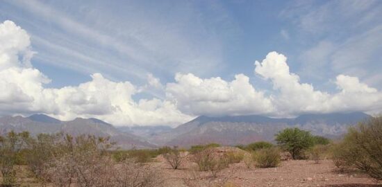 Argentinský steak s chimichurry