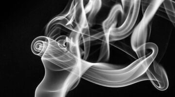 Fritované rolky s kuřecím masem