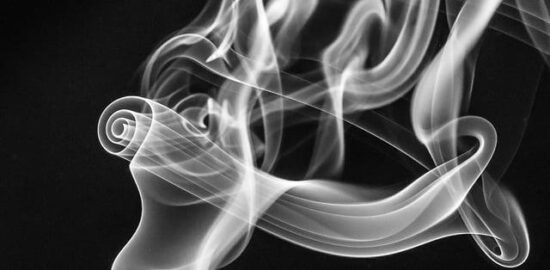 Fritované rolky s kuřecím masem