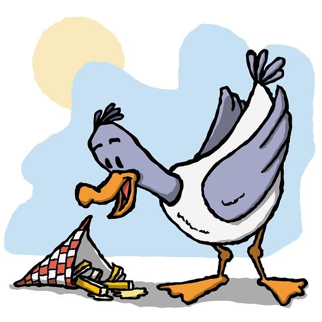 Hranolky s kuřecím masem a zeleninou