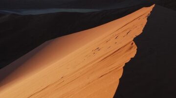 Telecí hřbet s bramborovou kaší