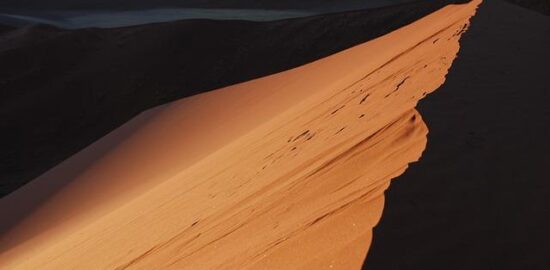 Telecí hřbet s bramborovou kaší