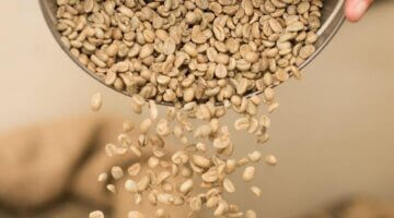 Surová paprika salát s mákem