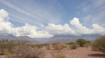 Argentinský gaučo steak s chimichurri