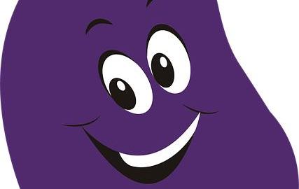 Plněná lilky s rýží