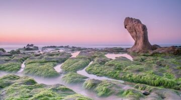 Pho bo – Vietnamští jehněčí nudle