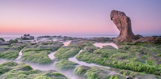 Pho bo – Vietnamští jehněčí nudle