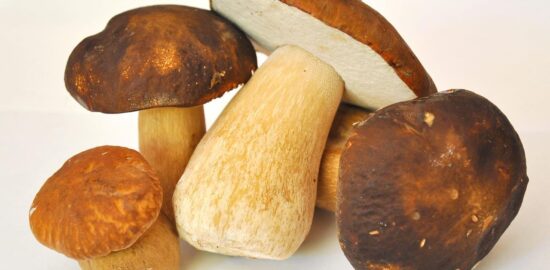 Rizotto s hříbky a uzeným masem