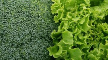 Brokolicový quiche s cherry rajčátky