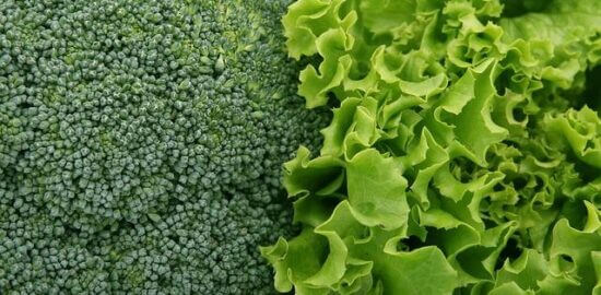 Brokolicový quiche s cherry rajčátky