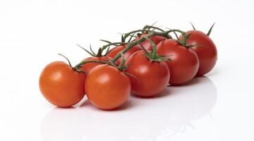 Pomodoro pasta s bazalkou a parmezánem