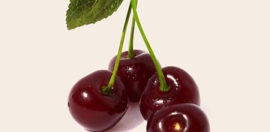 Kyselá polévka s houbami