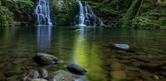 Mie goreng s krevetami