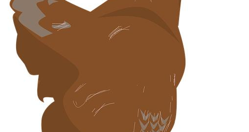 Kuřecí pečeně s bramborovým pyré