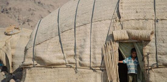 Íránské dušené jehněčí s ořechy