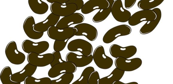 Luštěniny s rajčaty a bazalkou