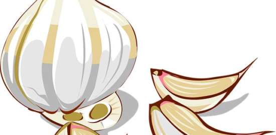 Ratatuille s česnekem a bylinkami