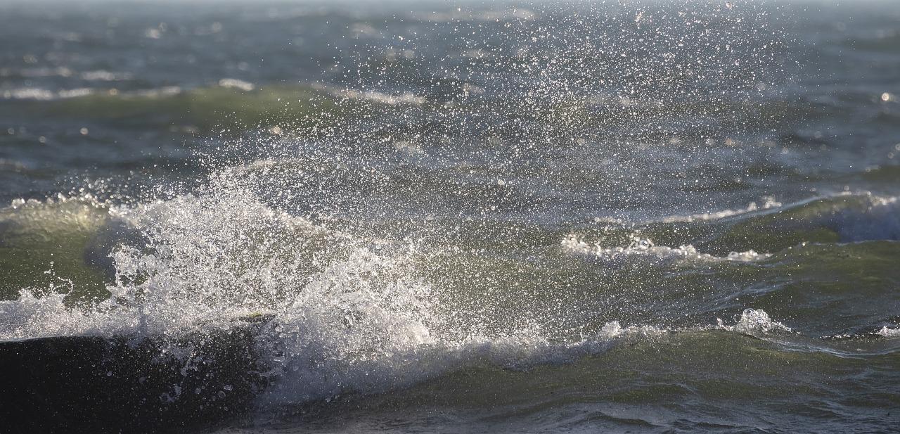 Kari z kuřecích nožek a hrášku