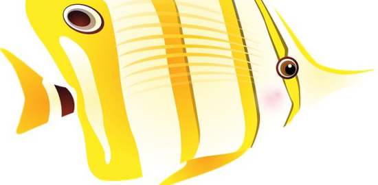 Ryba ve sladkokyselé omáčce