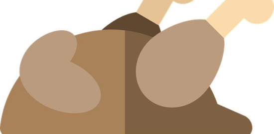 Krůtí roláda s bylinkovou náplní