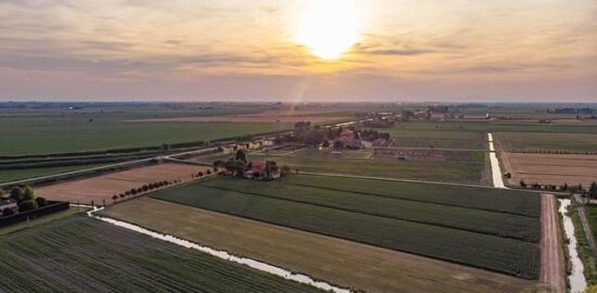 Kašek z cizrny s citrusy