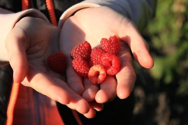 Hrstková quinoa s luštěninami a zeleninou