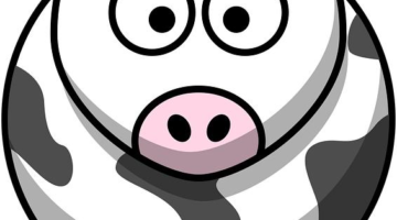 Bučné kimchi placky s rýží