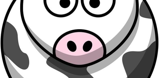 Bučné kimchi placky s rýží