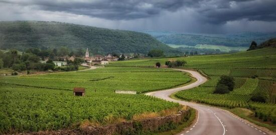 Hovězí burgundské veniamin, těstoviny, mrkev